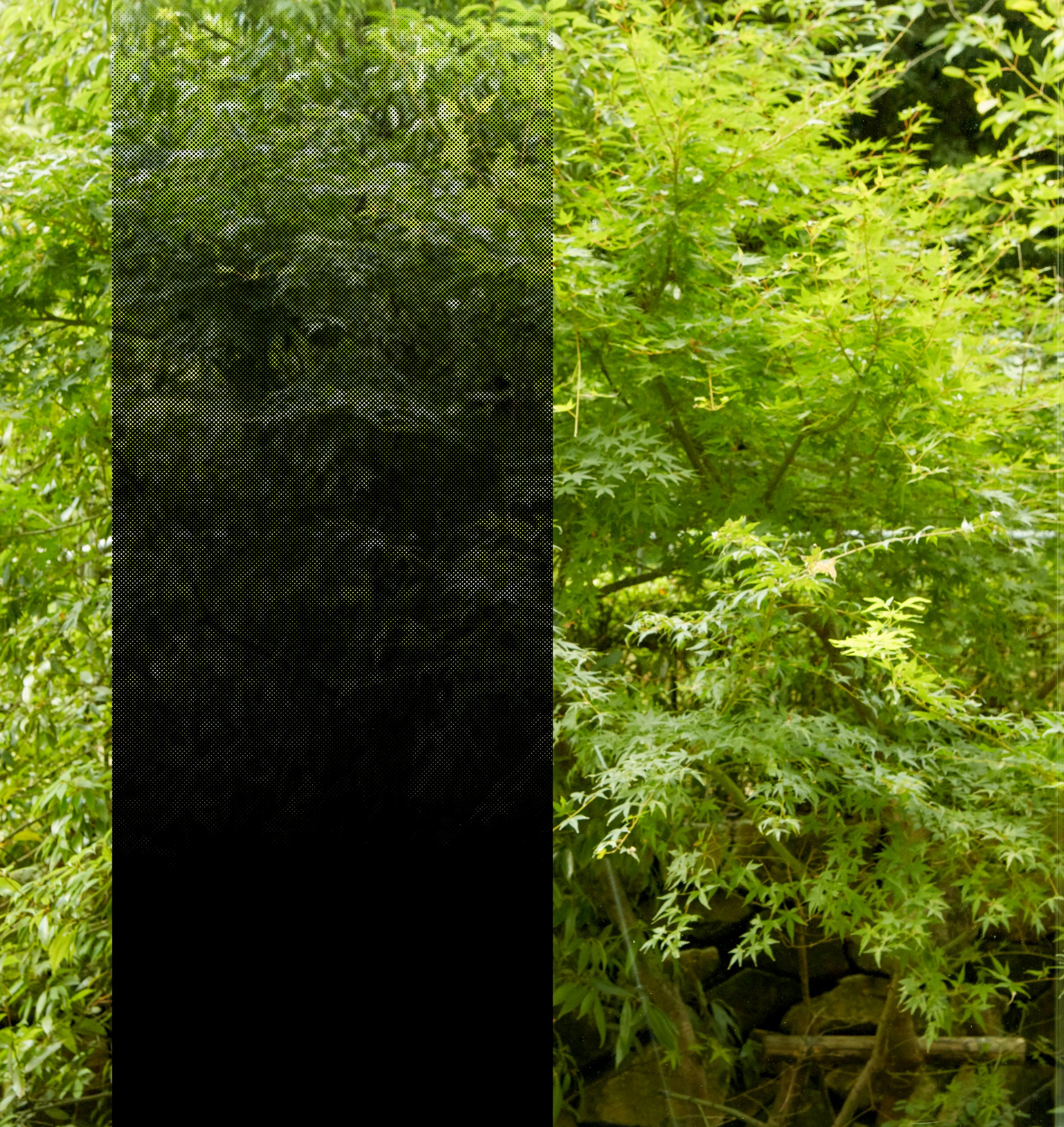 3M™ Fasara™ Glasdesignfolie SH2BKIM Ilumina Black, 1270 mm x 30 m
